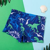 Kaftan Плавки купальные для мальчика Динозавры, размер 30 / цвет синий					