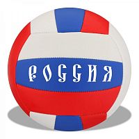 Волейбольный мяч «Next», 22 см					